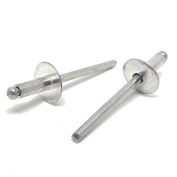 Oversize Head Stain/Stain Blind Rivets